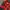 Jersey template admiral photo 2
