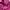 Slimfit Pink Kemeja Salur Cantik Imut Lucu Aesthetic
