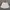 Mooi Skirt Rok Celana Bunga  photo 1