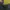 WUTANG copyrigt 2019 photo 4