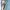 Shortpants Jorts Denim MORE CORE DIVISION Celana Pendek Jean photo 2