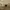 Tory Burch Bag photo 6