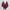 Kawaii outer maroon cape shawl lacey photo 7
