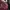 Kawaii outer maroon cape shawl lacey photo 7