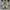New Balance 608v1 White photo 6