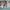 Converse 70's irrectular iridescent photo 3