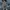 Anima Pattern skirt photo 3