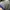 Peak performance outdoor jacket gorpcore photo 8