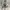 🇺🇸Vintage 92' Volunteer San Francisco By The Bay Single St photo 2