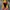 Jacket Arc’Teryx Outdoor Gorpcore Multicolour photo 9