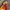 Jacket Arc’Teryx Outdoor Gorpcore Multicolour photo 7