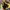 Jacket Arc’Teryx Outdoor Gorpcore Multicolour photo 10
