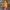 Jacket Arc’Teryx Outdoor Gorpcore Multicolour photo 3
