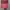 Ellese Casual Hat Pria red photo 1