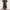 Midi Dress By Crocodile