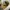 y2k style realtree hat KENWORTH by DRIDUCK photo 5