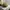 y2k style realtree hat KENWORTH by DRIDUCK photo 4
