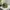 Y2k Style Realtree Hat KENWORTH By DRIDUCK