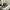 y2k style realtree hat KENWORTH by DRIDUCK photo 3