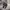 New Era Streetwear Hat Pria gray photo 1