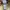 Thisisneverthat casual canvas jacket photo 6