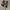Vans size 39  photo 1