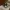 Air Jordan 1 low SE Vintage Panda (w) photo 2