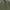 OG 507 Army Shade Military US Navy Kemeja Buzz Ricksons photo 3