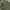 OG 507 Army Shade Military US Navy Kemeja Buzz Ricksons photo 4