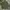 OG 507 Army Shade Military US Navy Kemeja Buzz Ricksons photo 2