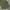 OG 507 Army Shade Military US Navy Kemeja Buzz Ricksons photo 1