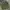 OG 507 Army Shade Military US Navy Kemeja Buzz Ricksons