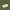 OG 507 Army Shade Military US Navy Kemeja Buzz Ricksons photo 6