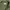 OG 507 Army Shade Military US Navy Kemeja Buzz Ricksons photo 5