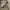 Burberry London Tartan Nova Check Khaki Harrington Jacket photo 4