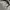 Polick Black Multi Button Bomber Jacket photo 10