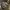 adidas campus 00s photo 1