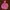 Carhartt Active Realtree Girls Jacket Outer Jaket photo 2