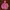Carhartt Active Realtree Girls Jacket Outer Jaket