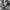 New Era Streetwear Sportswear Hat Pria black gray photo 6