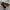 VANS STYLE 36 DECON SF BLACK MARSHMALLOW photo 4