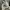 VANS AUTHENTIC ECO THEORY CHECKERBOARD CORNSTALK photo 8