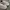 VANS AUTHENTIC ECO THEORY CHECKERBOARD CORNSTALK photo 4