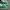 VANS AUTHENTIC ANAHEIM 44 DX EMERALD GREEN photo 2