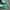 VANS AUTHENTIC ANAHEIM 44 DX EMERALD GREEN