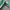VANS AUTHENTIC ANAHEIM 44 DX EMERALD GREEN photo 4