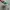 VANS AUTHENTIC ANAHEIM 44 DX EMERALD GREEN photo 5