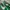 VANS AUTHENTIC ANAHEIM 44 DX EMERALD GREEN photo 6