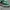 VANS AUTHENTIC ANAHEIM 44 DX EMERALD GREEN photo 3