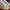 NEW, ORIGINAL NIKE BLAZER LOW PRO CLUB photo 5